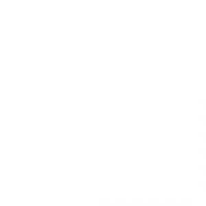 Image of Olympus ME33 Boundary Microphone