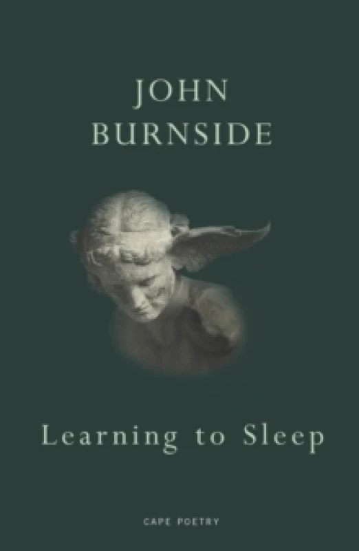 Image of Learning to Sleep Paperback / softback