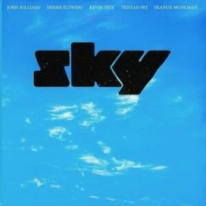 Image of Sky Vinyl