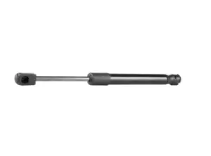 Image of RIDEX Tailgate strut VW,SKODA 219G0061 3B5827550E,3U5827550,3U5827550E 3B5827550E