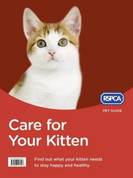 Image of Care for Your Kitten by Rspca Book