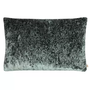 Image of Lynx Velvet Jacquard Rectangular Cushion Oasis