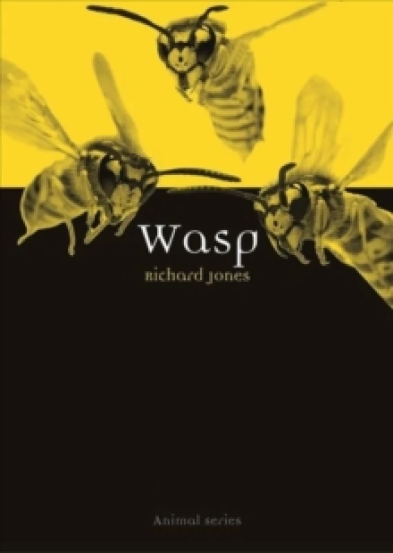 Image of Wasp Paperback / softback