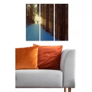 Image of MDF1936638 Multicolor Decorative MDF Painting (3 Pieces)