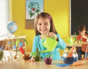 Image of Learning Resources Primary Science Plant Grow.