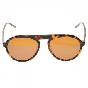 Image of Calvin Klein CK4350 Sunglasses - Tortoise