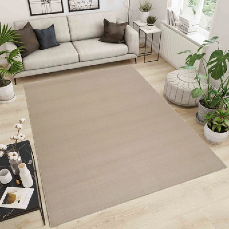 Image of Simple Low Pile Modern Tufted Area Rugs For Living Room With Felt Backing Light Beige 160X230 Cm