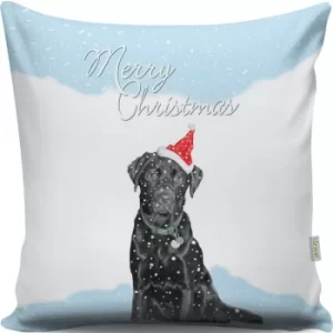 Image of A12992 Multicolor Cushion