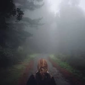 Image of Mono - Under The Pipal Tree Vinyl