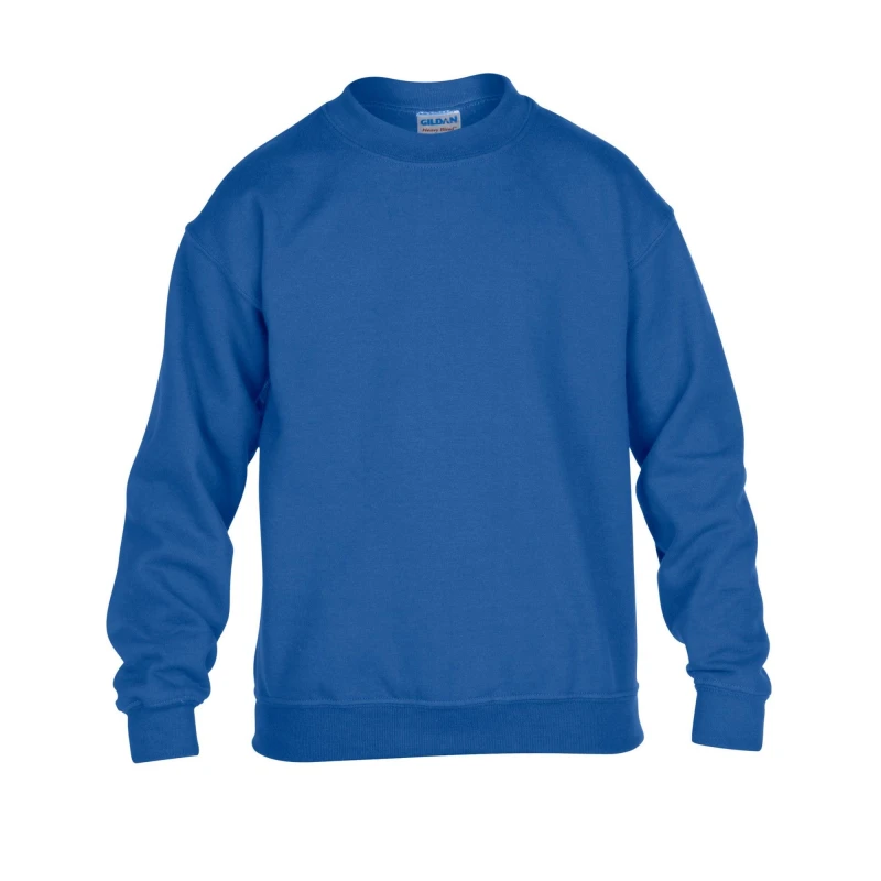 Image of Gildan GD56B boys's Children's sweater in Blue