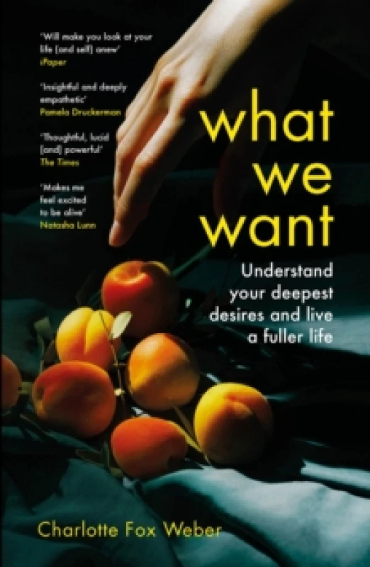 Image of What We Want : A Journey Through Twelve of Our Deepest Desires Paperback / softback
