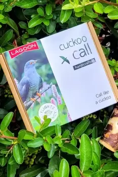 Image of Cuckoo Call
