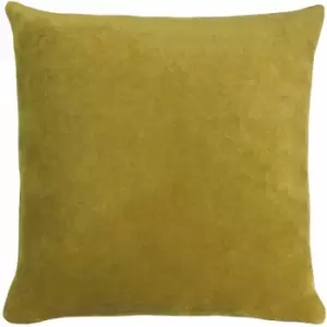 Image of Solo Plain Velvet 100% Cotton Cushion Cover, Olive, 45 x 45cm - Furn