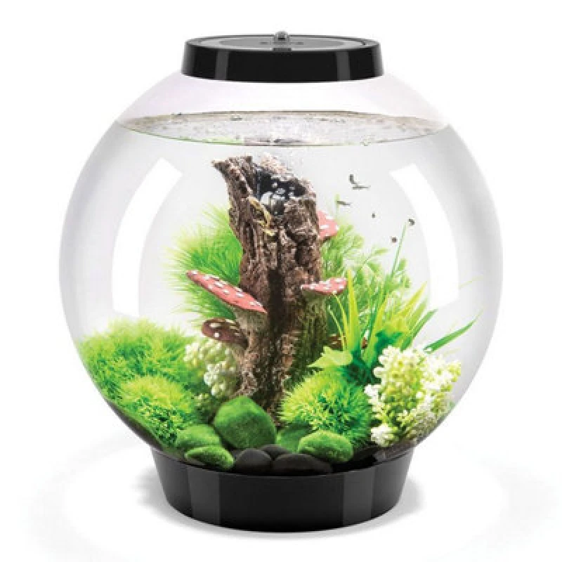 Image of Oase Biorb Classic 30L Aquarium Fish Tank In Black With Mcr LED Lighting