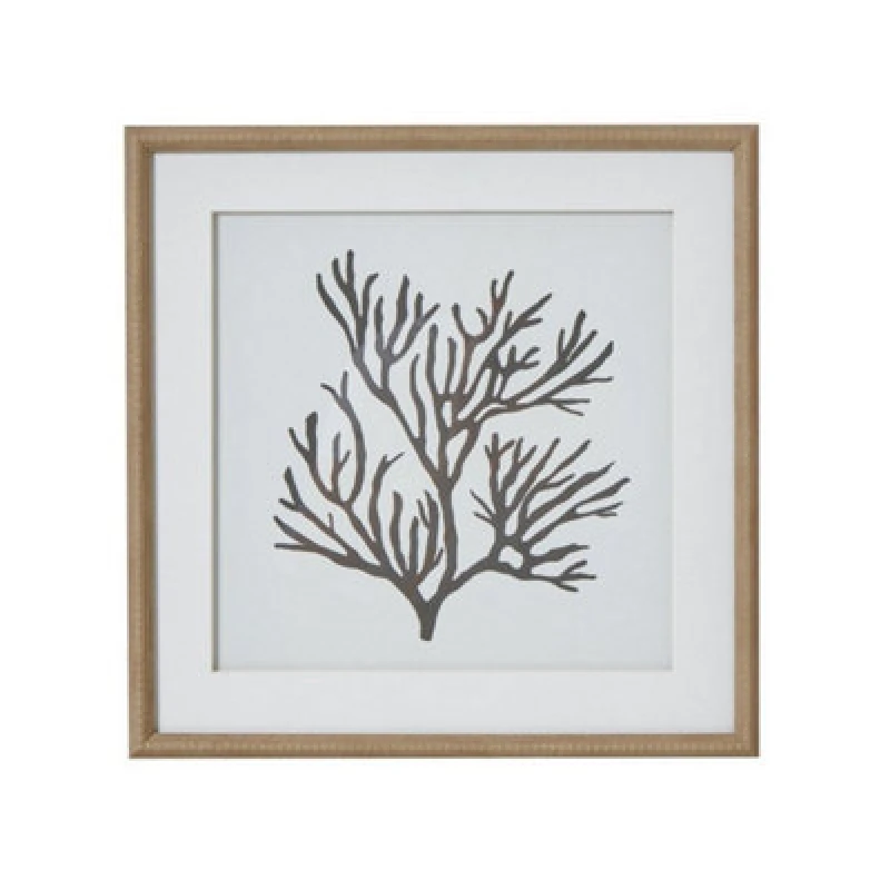 Image of Hill Interiors Reef Coral Art Mounted In Beaded Frame - Glass - L2 X W40 X H40 Cm - Brown