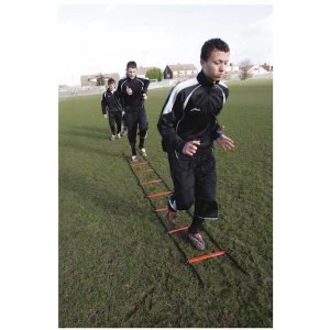 Image of PT 8 Metre Speed Ladder (4 x 2 Metres)