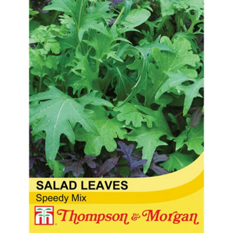 Image of Thompson & Morgan Salad Leaves Speedy Mix 1 Seed Packet