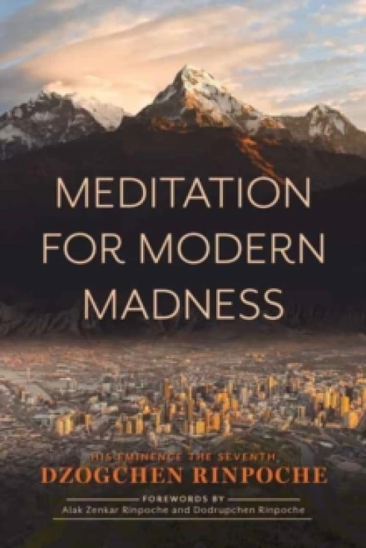 Image of Meditation for Modern Madness Paperback / softback