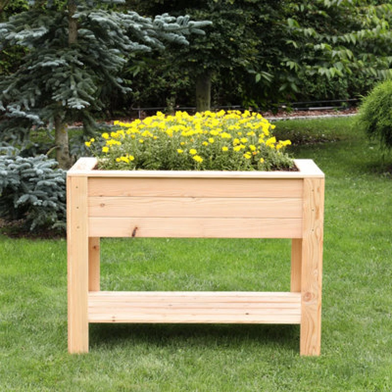 Image of Dan Larch Timber Shallow Planter With Self 800X400mm