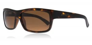 Image of Serengeti Martino Sunglasses Tortoise 7511 Polariserade 60mm