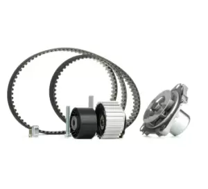 Image of INA Water Pump + Timing Belt Kit 530 0561 30 OPEL,FIAT,SUZUKI,COMBO Kasten/Kombi (X12),Combo Combi / Tour (X12),GRANDE PUNTO (199),PUNTO EVO (199)