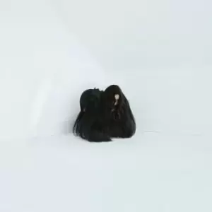 Image of Hiss Spun by Chelsea Wolfe CD Album