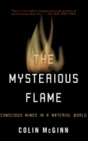 Image of mysterious flame