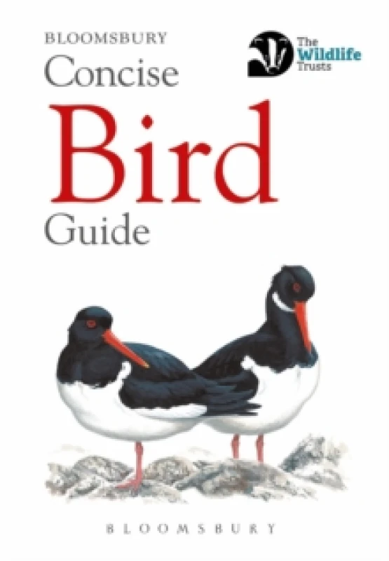 Image of Concise Bird Guide Paperback / softback