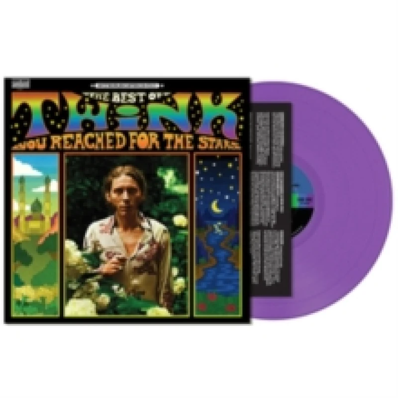 Image of You reached for the stars: The best of Twink Vinyl