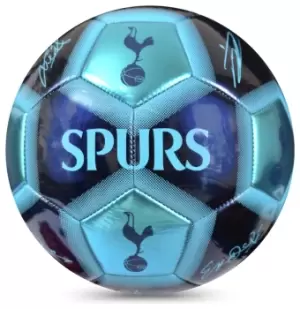 Image of Tottenham Hotspur FC Size 5 Signature Football