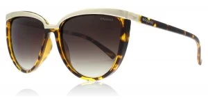 Image of Polaroid PLD4016/S Sunglasses Havana V08 57mm