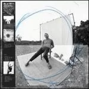 Image of collections from the whiteout