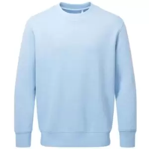 Image of Anthem Unisex Adult Organic Sweatshirt (XL) (Light Blue)