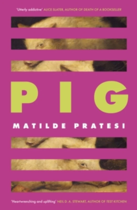 Image of Pig : 'Unsettled me from the start and kept me engrossed to the end' Daily Mail Hardback