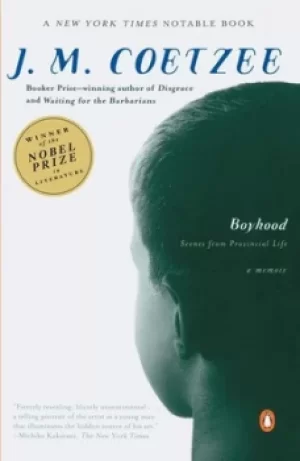 Image of Boyhood by J. M. Coetzee