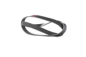 Image of RIDEX V-ribbed belt AUDI,BMW,RENAULT 305P0242 028260849H,11288580362,11288638716 11289888807,5750TN,96144511,117207930R,311105G0A01,31110P8BJ01,5750C1