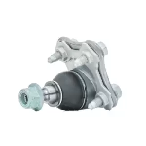 Image of FAG Ball joint VW,AUDI,SKODA 825 0173 10 1J0407366A,1J0407366B,1J0407366C 1J0407366D,1J0407366H,1J0407366J,1J0407366A,1J0407366C,1J0407366D,1J0407366H