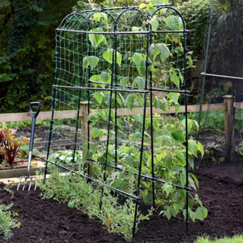 Image of Garden Gear 1.8 X 1.8M Pea & Bean Tunnel Four Arches With Mesh Netting Included, Protection For Crops & Plants
