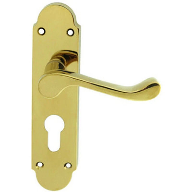 Image of Loops PAIR Victorian Upturned Lever on Euro Lock Backplate 170 x 42 Polished Brass Metallics