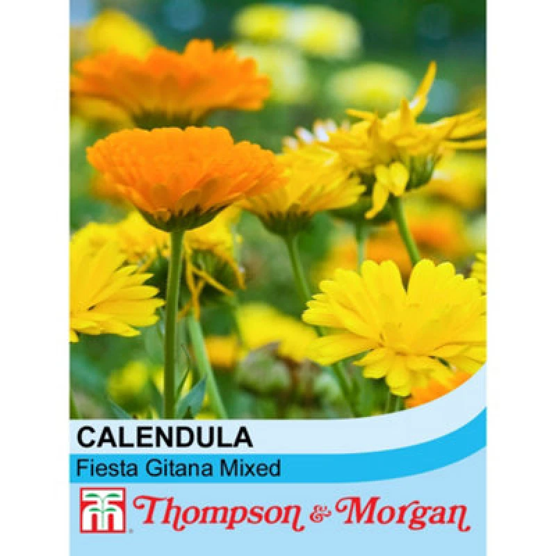 Image of Thompson & Morgan Calendula Fiesta Gitana Mixed 1 Seed Packet (160 Seeds)