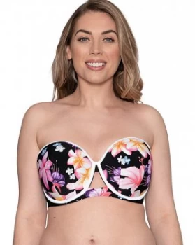 Image of Curky Kate Tropicana Bandeau Bikini