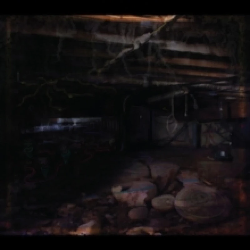 Image of John Medeski - Crawlspace [CD / Album] Music CDs - Music CD