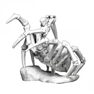 Image of D&D Nolzur's Marvelous Unpainted Miniatures (W12.5) Drider