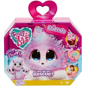 Image of Scruff-a-Luvs Series 2 Candy Floss