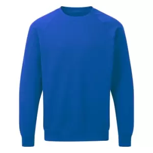 Image of SG Mens Raglan Sleeve Crew Neck Sweatshirt (S) (Royal)