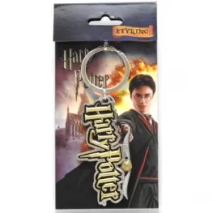 Image of Harry Potter Logo Coloured Pewter Keyring