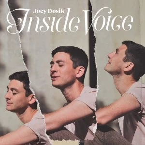 Image of Joey Dosik - Inside Voice 12" Vinyl
