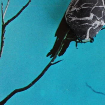 Image of Tangents - Stateless Vinyl