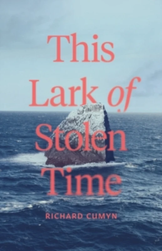Image of This Lark of Stolen Time : A Novel Paperback / softback