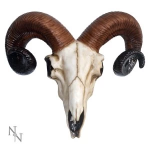 Image of Rams Skull Medium